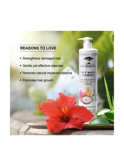Co-Earth Rice Water Shampoo 300 ml